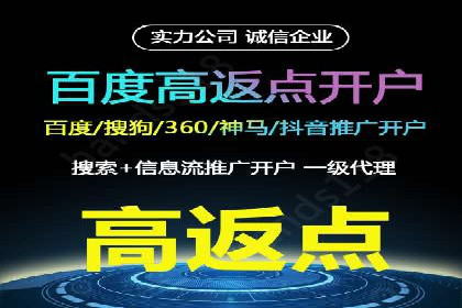 SEM广告投放策略：成功案例解析