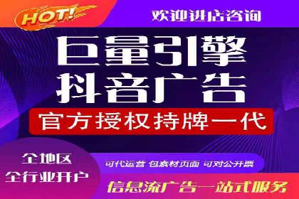 信息流广告投放策略：实战案例与数据解读
